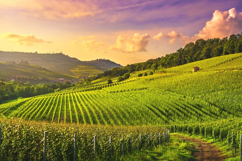 A Guide to the Best Vineyards in Italy